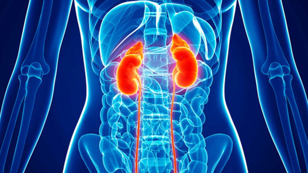 What is Kidney Disease